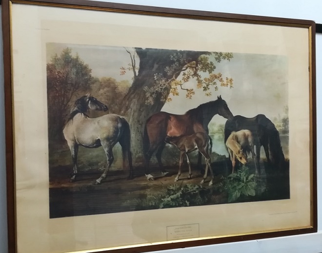 STAMPA "MARES AND FOALS" GEORGE STUBBS  